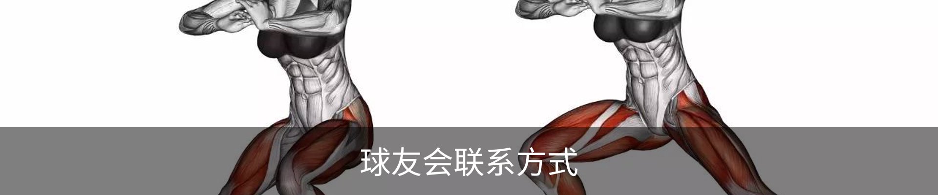 球友会联系方式